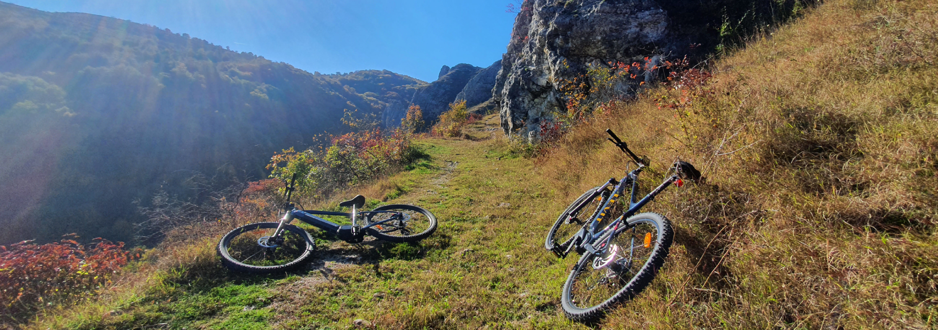 rent-and-ride-inchirere-biciclete-fundal